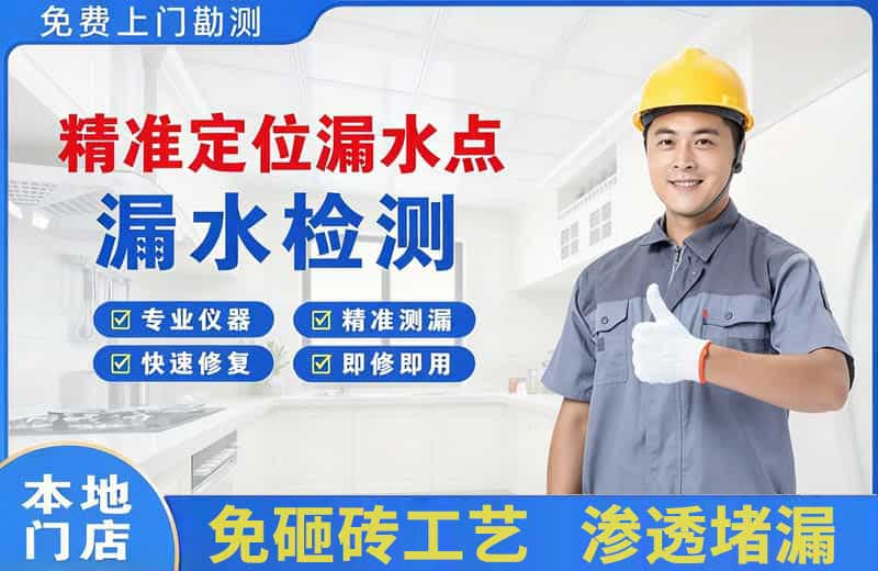 天山精准测漏点